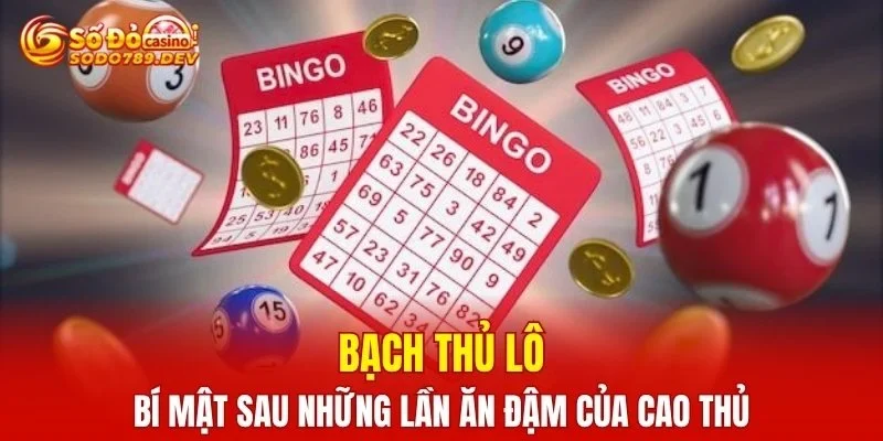 Bạch Thủ Lô