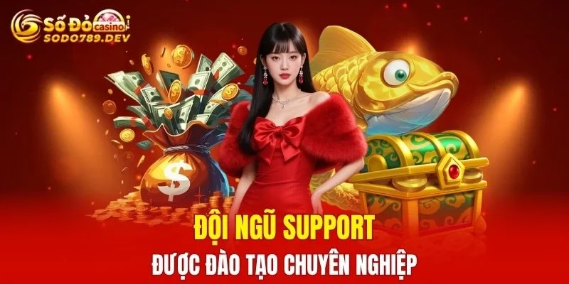 Đội ngũ support được đào tạo chuyên nghiệp