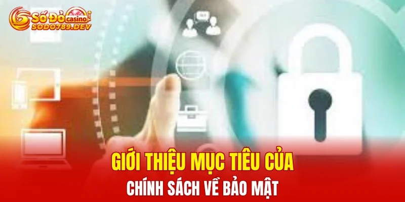 Giới thiệu mục tiêu của chính sách về bảo mật