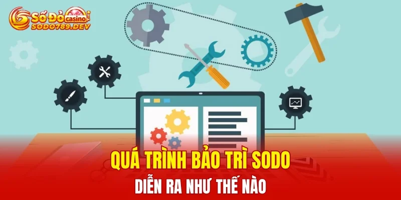 Quá trình bảo trì SODO diễn ra như thế nào